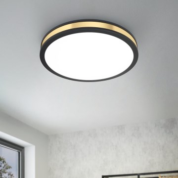 Eglo - Luz de teto LED LED/24W/230V