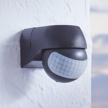 Eglo - Sensor exterior IP44
