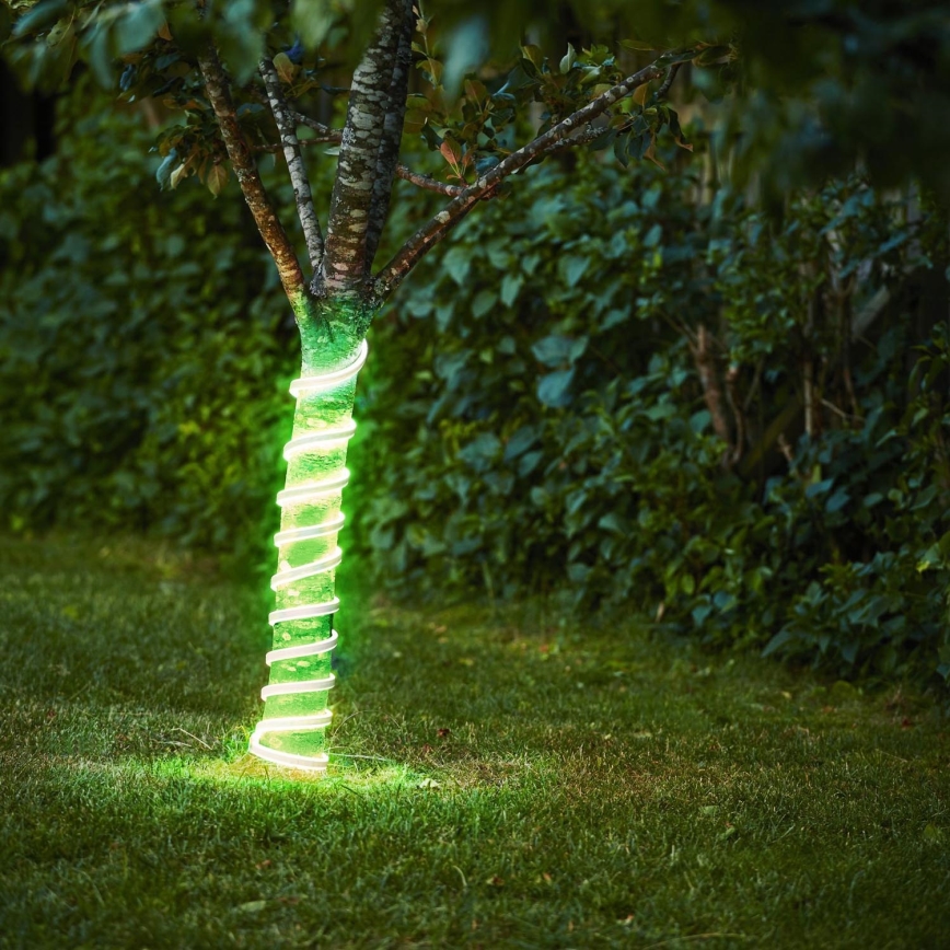 Eglo - Tira LED LED/96W/24V 5m IP44 verde