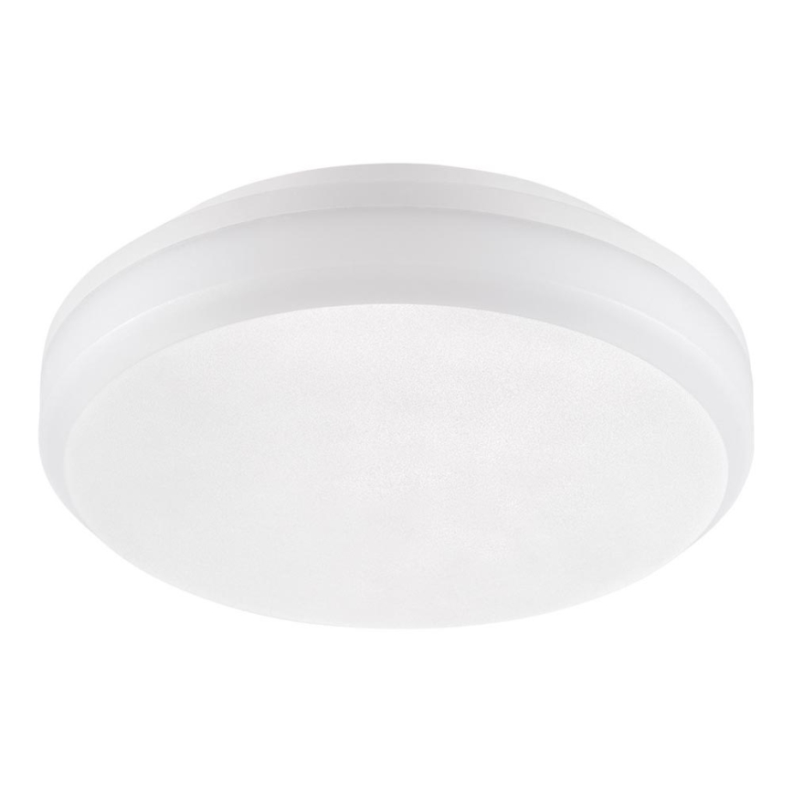 Emithor 63206 - Luz de teto de trabalho LED SURFACE 1xLED/20W/230V IP65