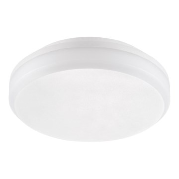 Emithor 63207 - Luz de trabalho LED SURFACE 1xLED/30W/230V IP65