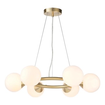 Endon 106390 - Lustre suspenso em cabo OTIS 6xG9/3W/230V dourado