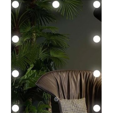 Espelho LED com iluminação 9xLED/1W/230V 3000/4000/6000K 50x40 cm IP44