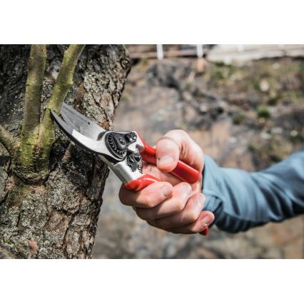 Extol Premium - Tesoura de jardinagem 215 mm
