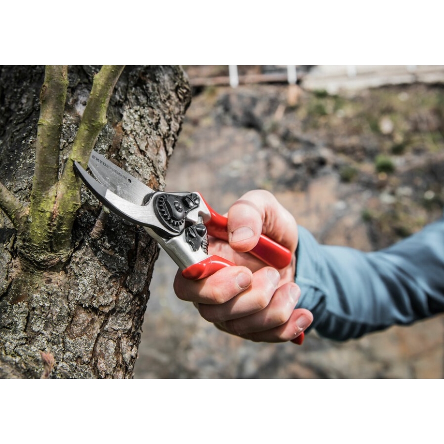 Extol Premium - Tesoura de jardinagem 215 mm