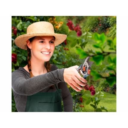 Extol Premium - Tesoura de jardinagem de 180 mm