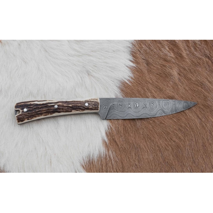 Faca de caça com chifre de veado de 12 cm