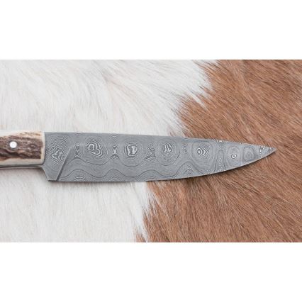 Faca de caça com chifre de veado de 12 cm