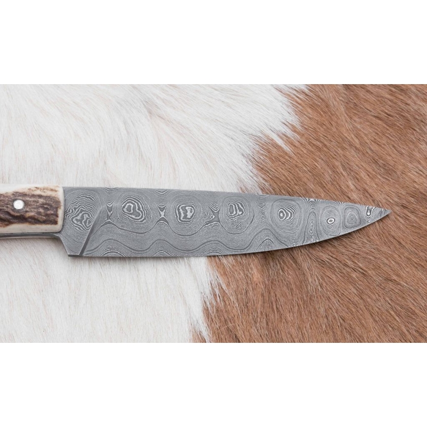 Faca de caça com chifre de veado de 12 cm