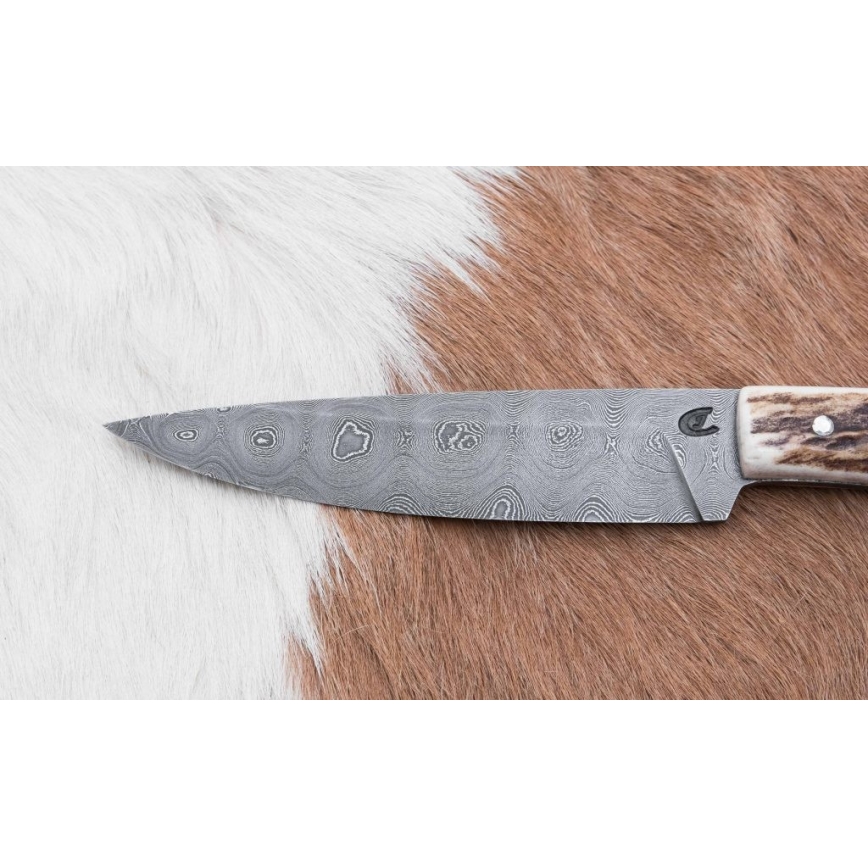 Faca de caça com chifre de veado de 12 cm