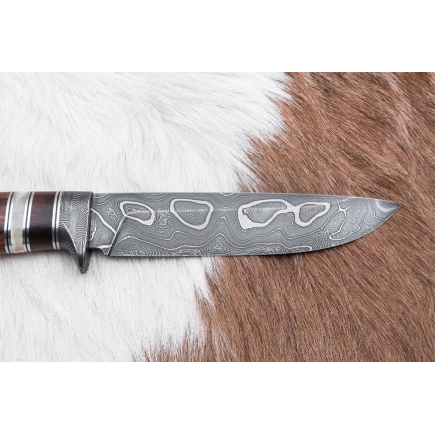 Faca de caça em damasco 13,8 cm ironwood/osso de búfalo