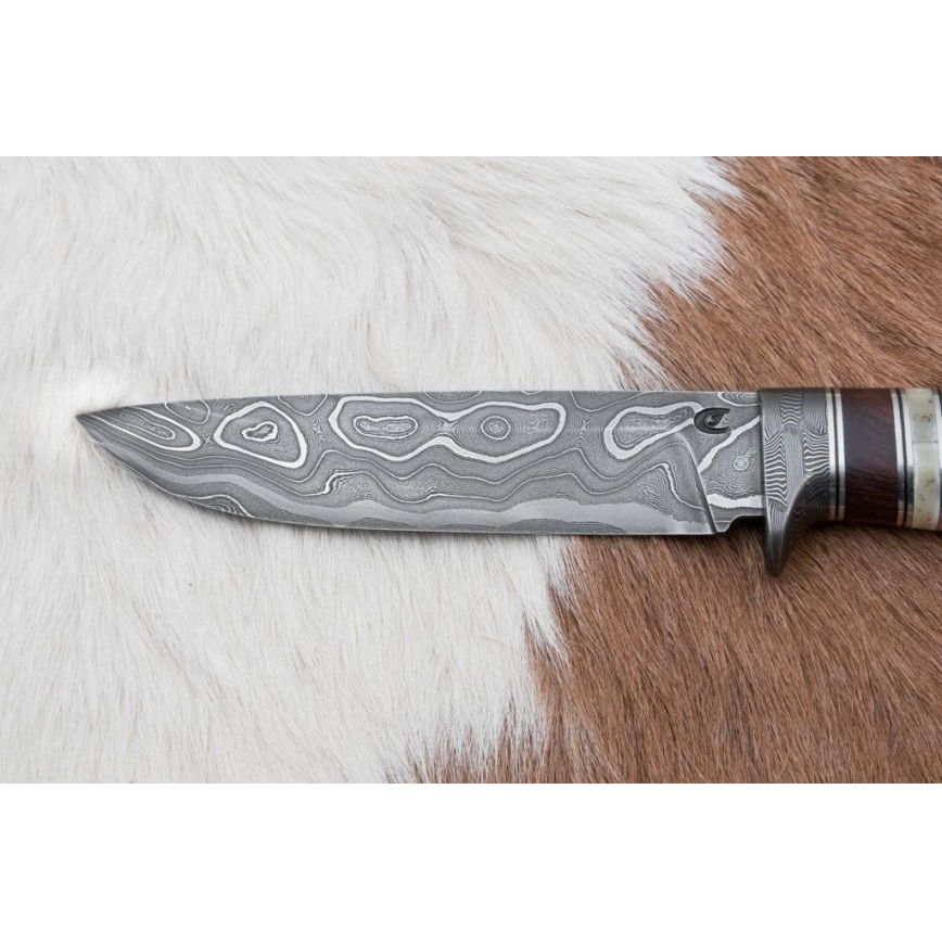 Faca de caça em damasco 13,8 cm ironwood/osso de búfalo
