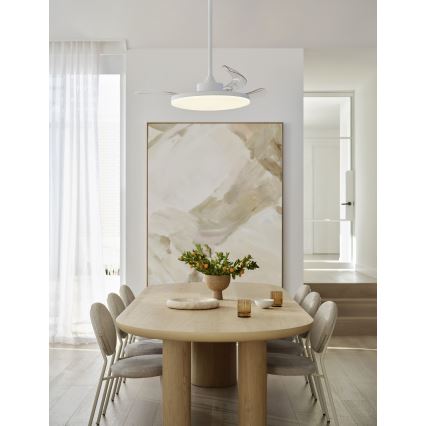 FANAWAY 21612949 - Ventoinha de teto LED com regulação STROLL LED/30W/230V 2700/3500/5000K diâmetro 106 cm branco/transparente + comando