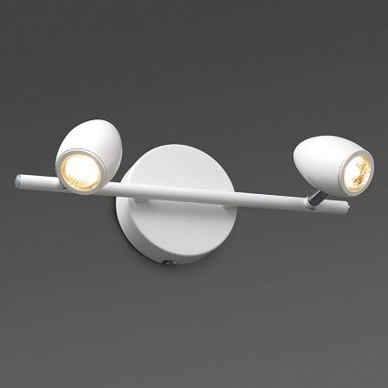 FARO 41121 - Foco LED ANTILA 2xLED/12W/230V