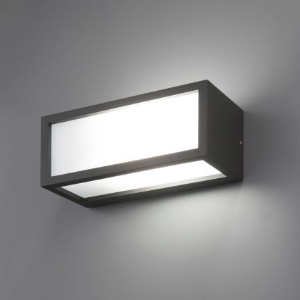 FARO 70573 - Luz de parede de exterior TEJO 1xE27/20W/230V IP54