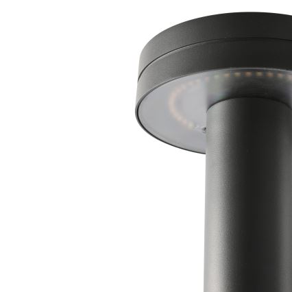 FARO 71948 - Candeeiro exterior LED ESPOT LED/9W/230V 2200/2700/3200/4000K IK07 IP65 60 cm antracite