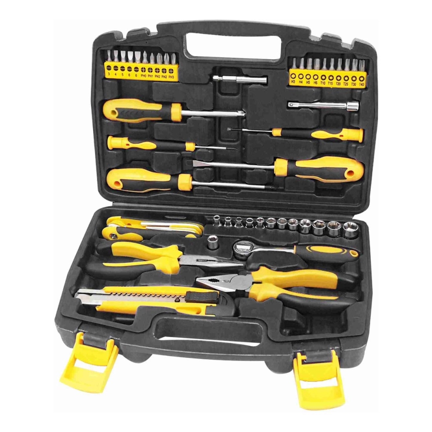 Fieldmann - Conjunto de ferramentas 51 pcs