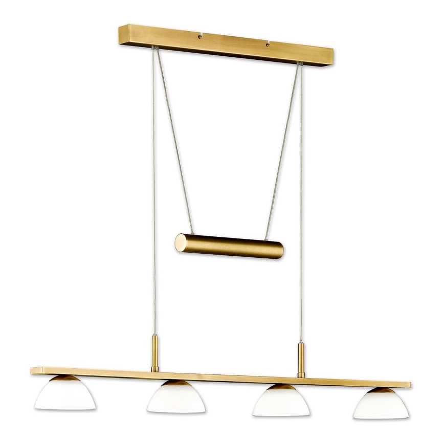 Fischer & Honsel 65054 - Candelabro suspenso LED VIGO 4xLED/4W/230V