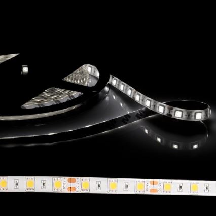 Fita LED 5m 28W/12V IP65 6500K