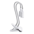 Flexível candeeiro de mesa com clipe para o cultivo de plantas PLANTY 2xE27/30W/230V branco