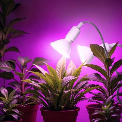 Flexível candeeiro de mesa com clipe para o cultivo de plantas PLANTY 2xE27/30W/230V branco