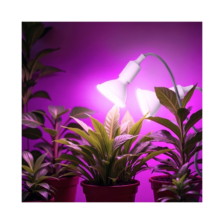 Flexível candeeiro de mesa com clipe para o cultivo de plantas PLANTY 2xE27/30W/230V branco