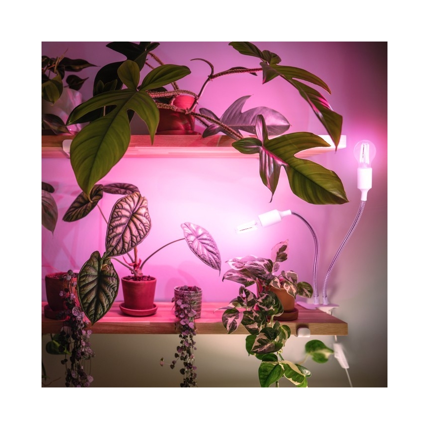 Flexível candeeiro de mesa com clipe para o cultivo de plantas PLANTY 2xE27/30W/230V branco