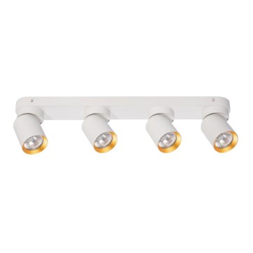 Foco ANDY 4xGU10/8W/230V branco/dourada