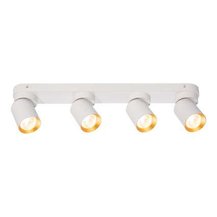Foco ANDY 4xGU10/8W/230V branco/dourada
