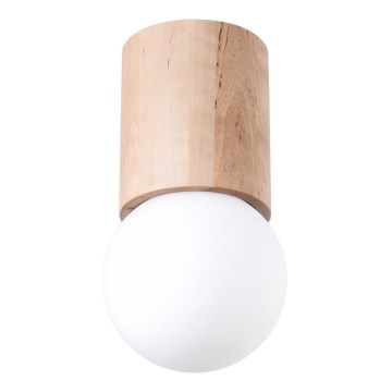 Foco BOOMO 1xG9/8W/230V faia