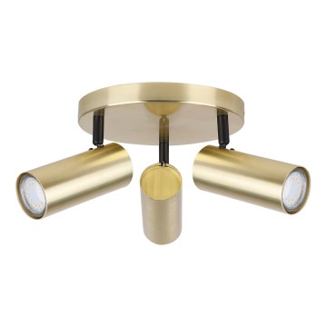 Foco COLLY 3xGU10/15W/230V dourada