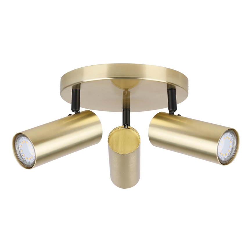 Foco COLLY 3xGU10/15W/230V dourada