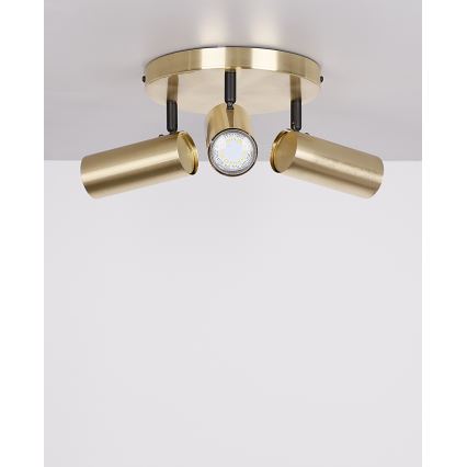 Foco COLLY 3xGU10/15W/230V dourada