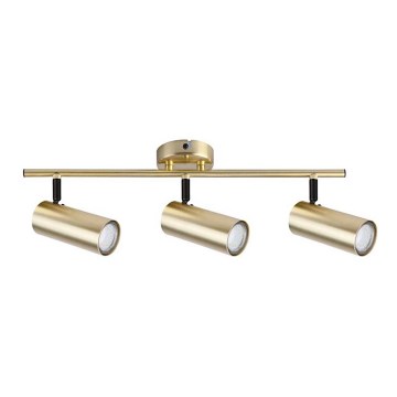 Foco COLLY 3xGU10/15W/230V dourada
