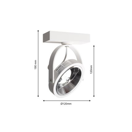 Foco de parede LUGAR 1xAR111 - GU10/25W/230V