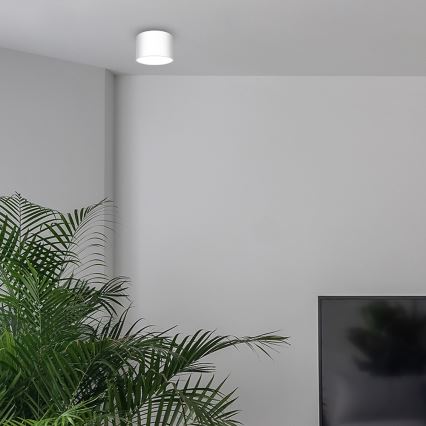 Foco DIXIE 1xGX53/11W/230V branco