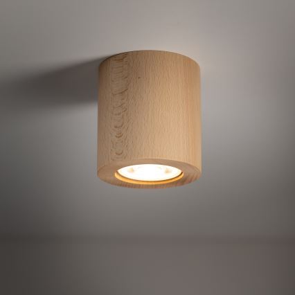 Foco EVE 1xGU10/10W/230V faia