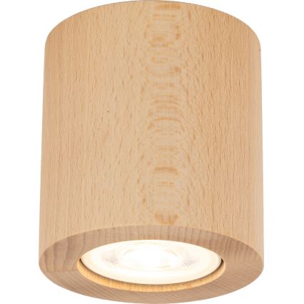 Foco EVE 1xGU10/10W/230V faia