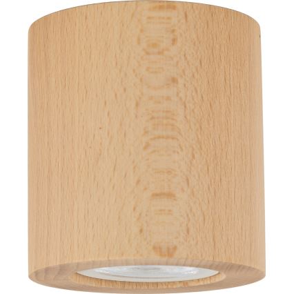 Foco EVE 1xGU10/10W/230V faia