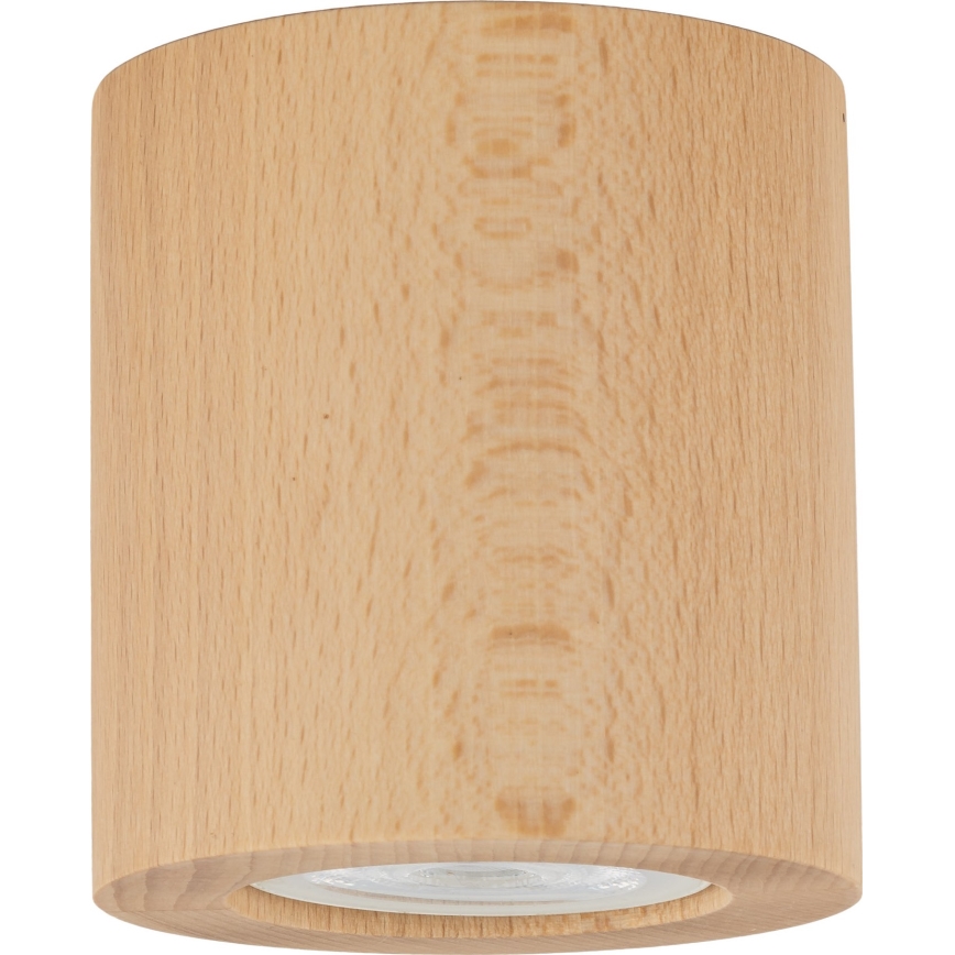 Foco EVE 1xGU10/10W/230V faia