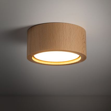 Foco EVE 1xGX53/11W/230V faia