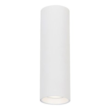 Foco GENESIS 1xGU10/8W/230V 20 cm branco