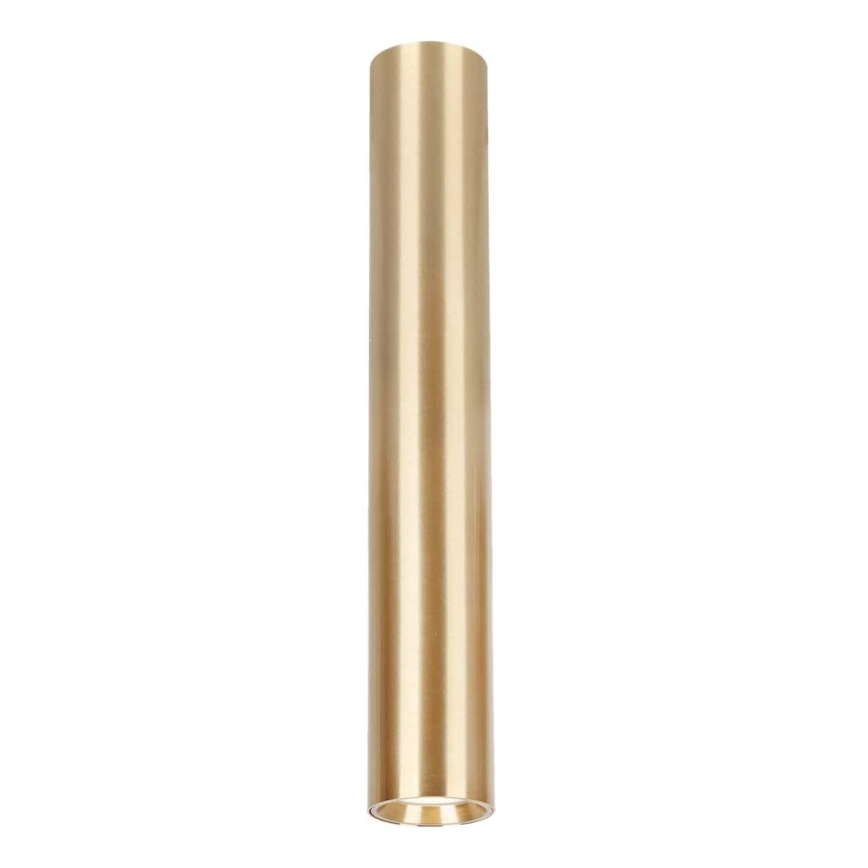 Foco GENESIS 1xGU10/8W/230V 40 cm dourada