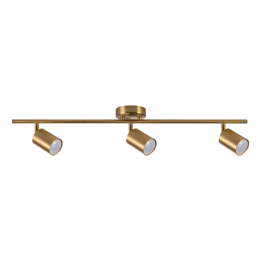 Foco GOLDI 3xGU10/10W/230V dourado