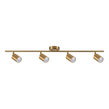 Foco GOLDI 4xGU10/10W/230V dourado