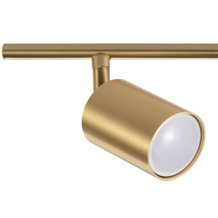 Foco GOLDI 4xGU10/10W/230V dourado