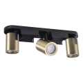 Foco LAURIN 3xGU10/10W/230V latão/preto