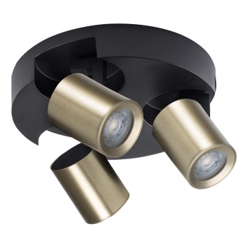 Foco LAURIN 3xGU10/10W/230V latão/preto
