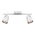 Foco LED 2xLED/5W/230V 3000K branco