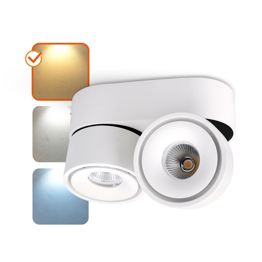 Foco LED com regulação LAHTI MINI 2xLED/9W/230V 3000K CRI 90 branco